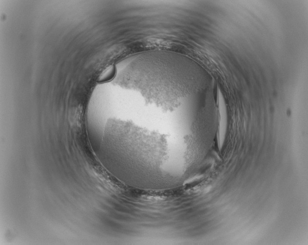 X0000088740649200706141704