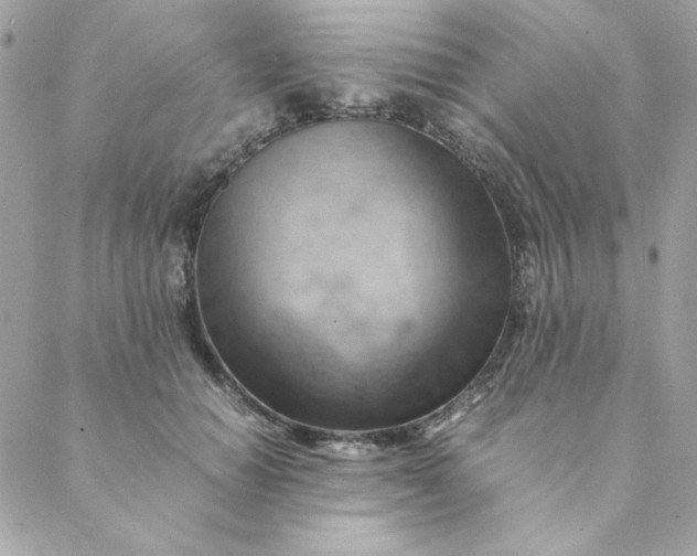 X0000088740654200706141704
