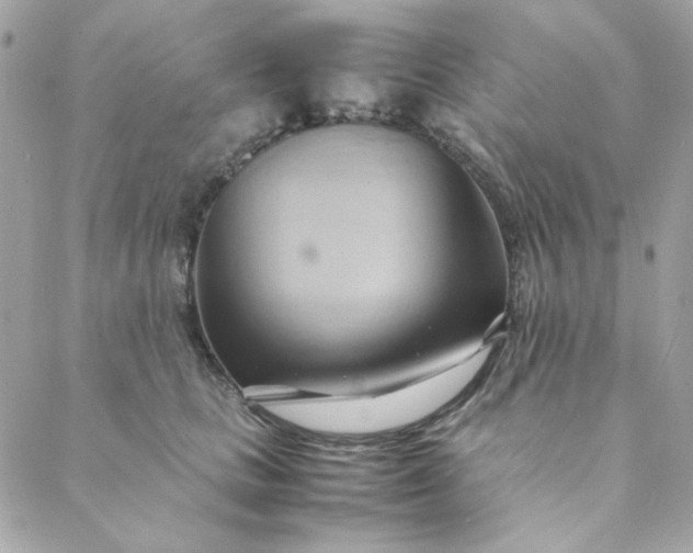 X0000088740661200706141704