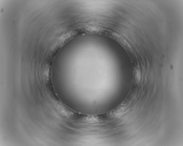 X0000088740668200706141704