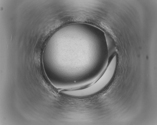 X0000088740681200706141704