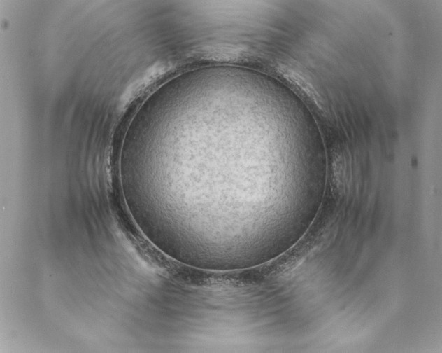 X0000088740682200706141704