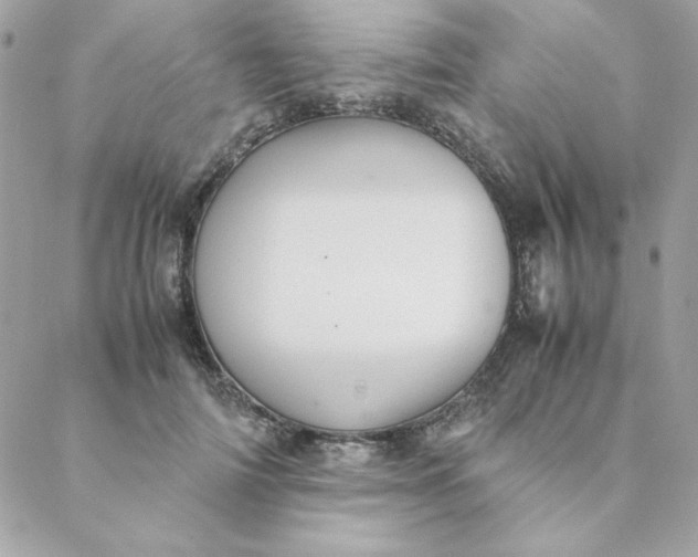 X0000088740698200706141703