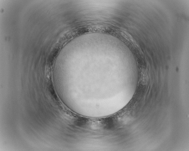 X0000088740701200706141703