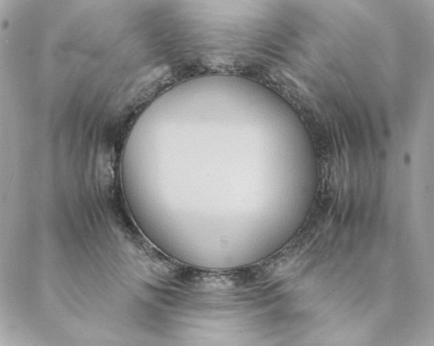 X0000088740702200706141703