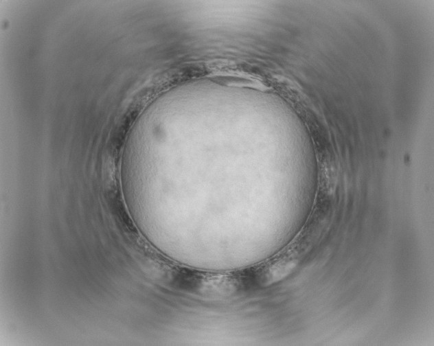 X0000088740705200706141703
