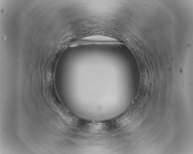X0000088740711200706141703