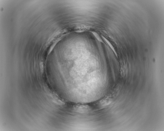 X0000088740716200706141703