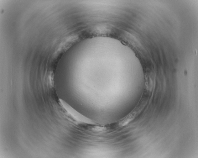 X0000088740718200706141703