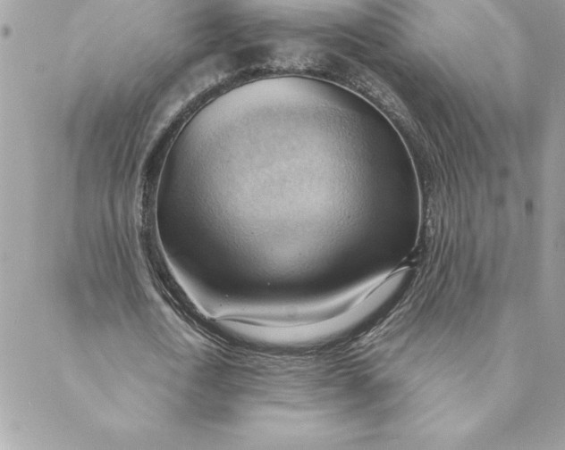 X0000088740722200706141702