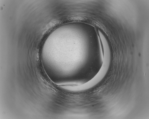 X0000088740731200706141702