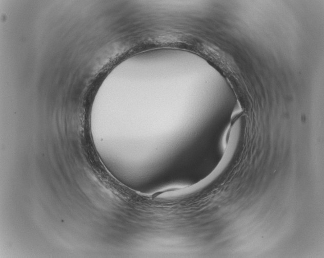 X0000088740732200706141702