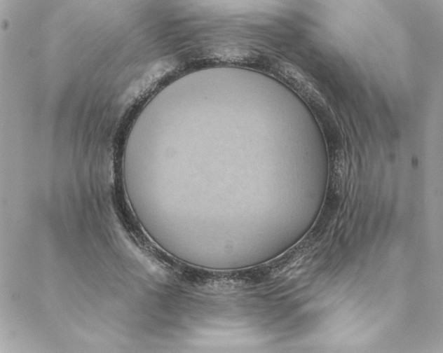 X0000088740734200706141702