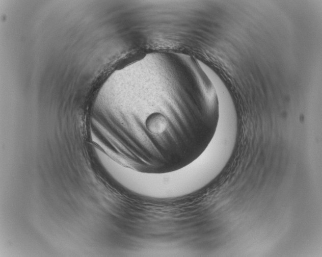 X0000088740743200706141703