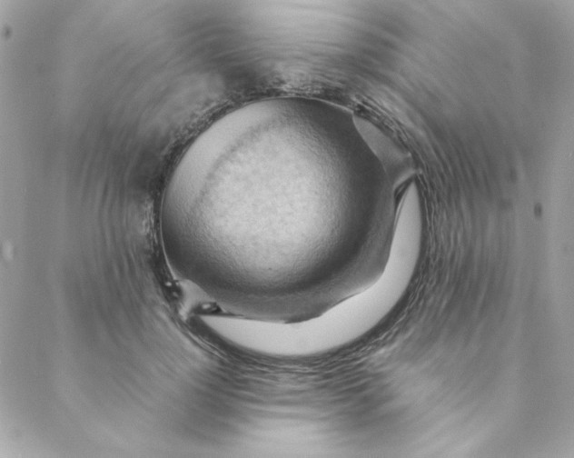 X0000088740748200706141703