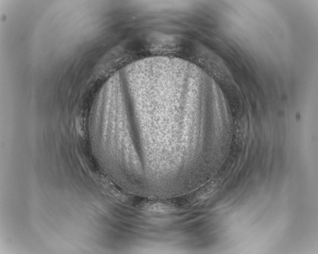 X0000088740755200706141703