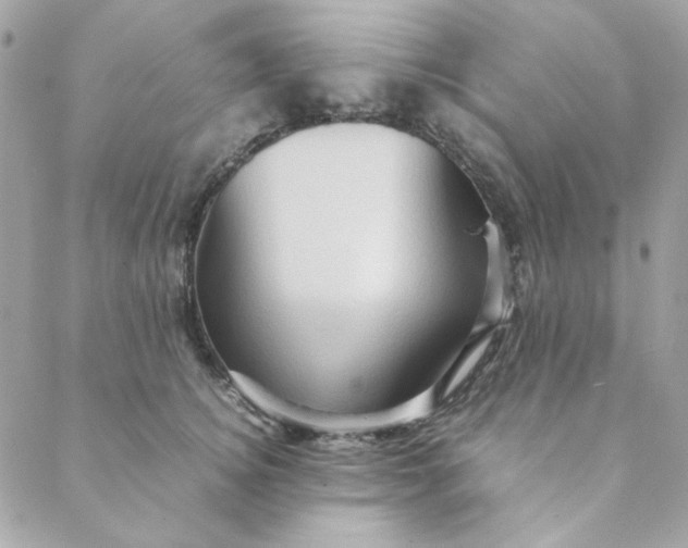 X0000088740756200706141703