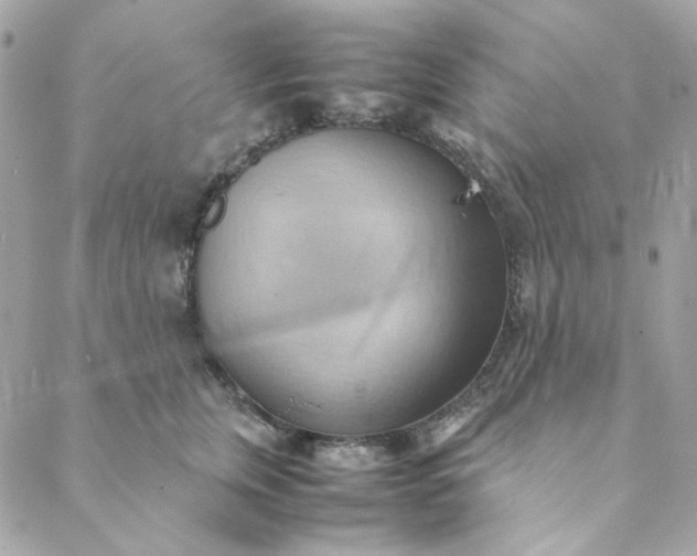 X0000088740759200706141703