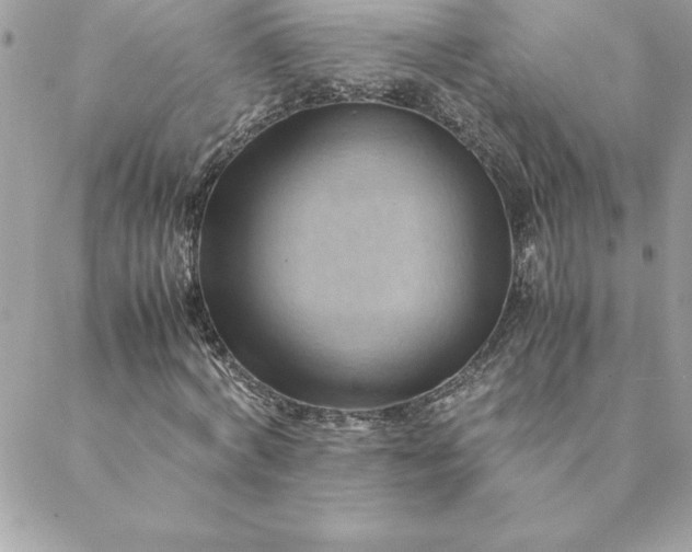 X0000088740772200706141702
