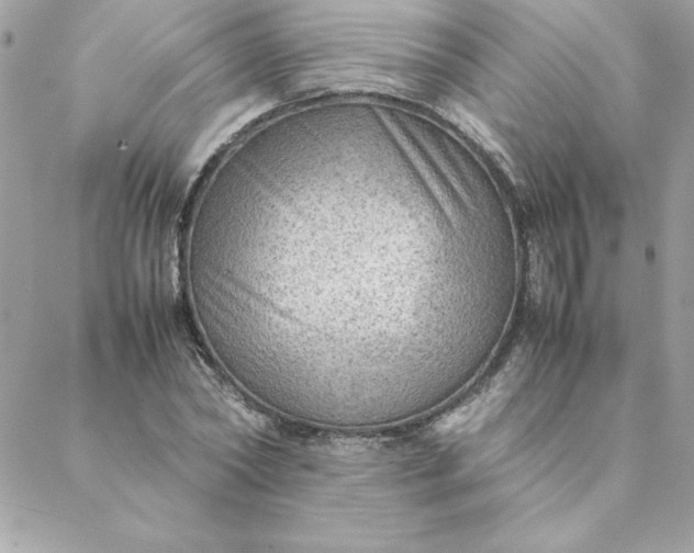 X0000088740782200706141702