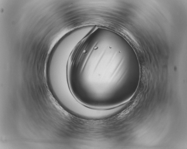 X0000088740788200706141702