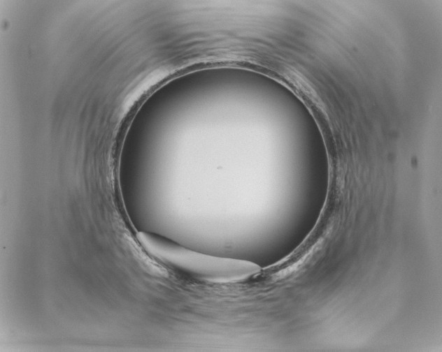 X0000088740789200706141702