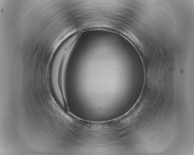 X0000088740790200706141702
