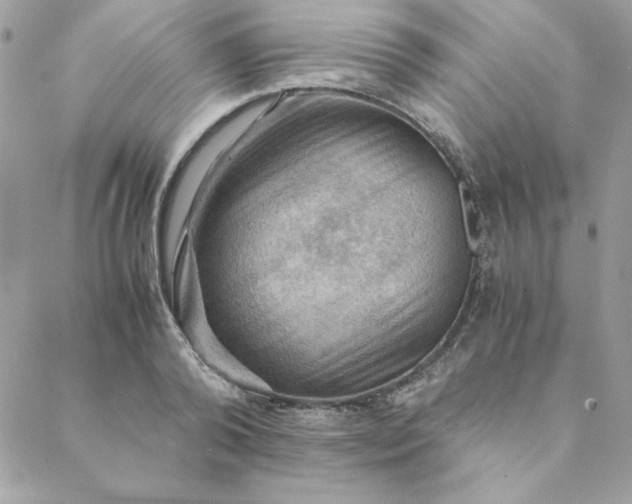 X0000088740792200706141702