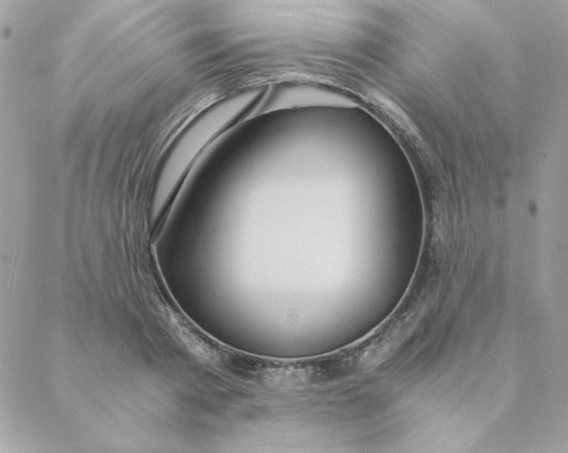 X0000088740793200706141702