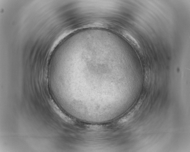 X0000088740800200706141702