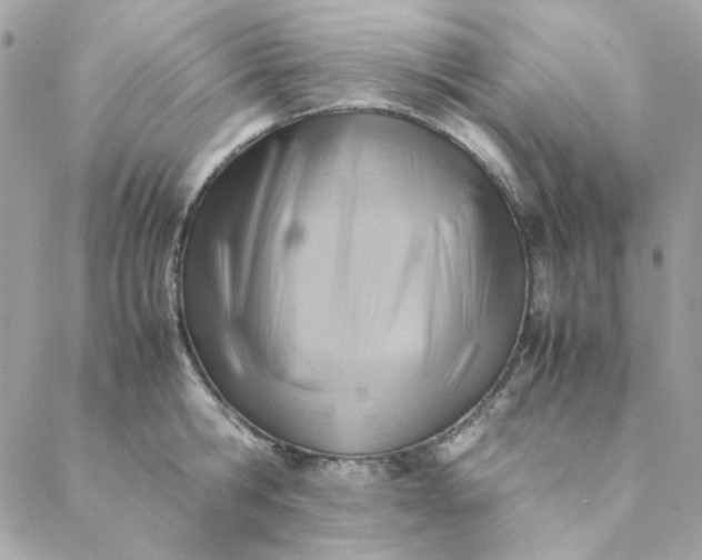 X0000088740806200706141702