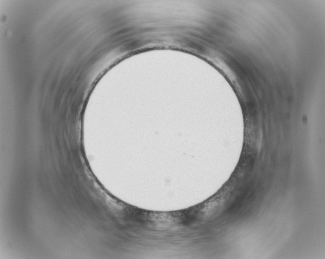X0000088740807200706141702