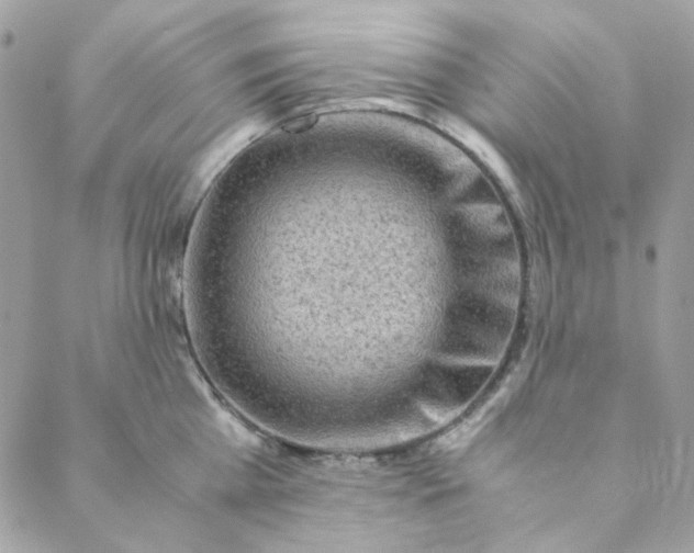 X0000088740809200706141701