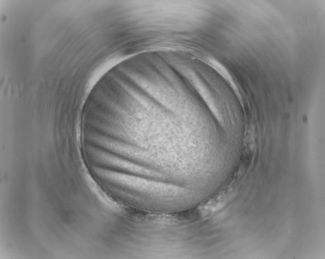 X0000088740811200706141701