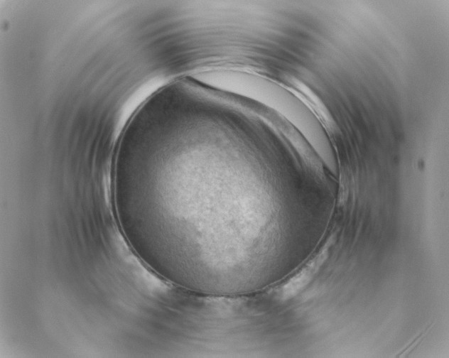 X0000088740812200706141701