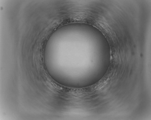 X0000088740817200706141701