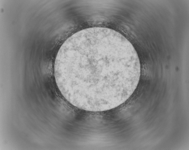 X0000088740820200706141701