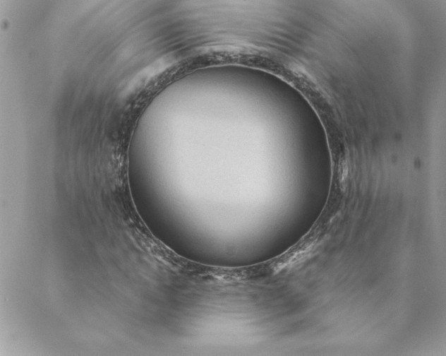 X0000088740822200706141701
