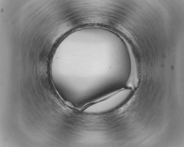 X0000088740826200706141701