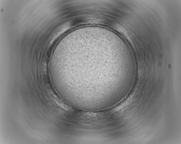 X0000088740827200706141701