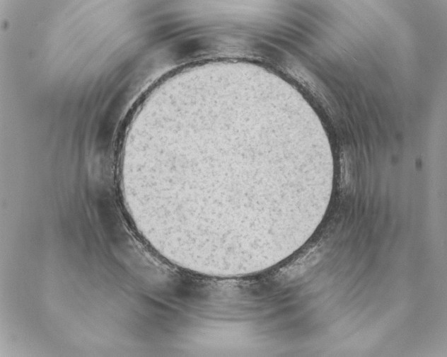 X0000088740828200706141701