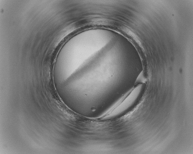 X0000088740829200706141701