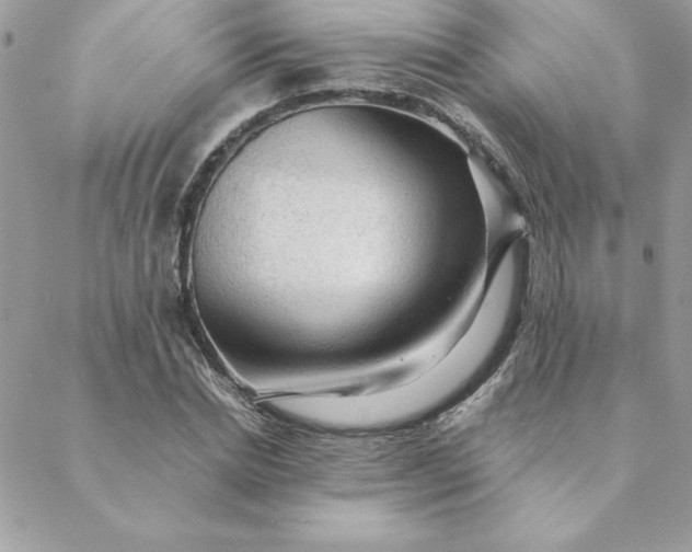 X0000088740830200706141701