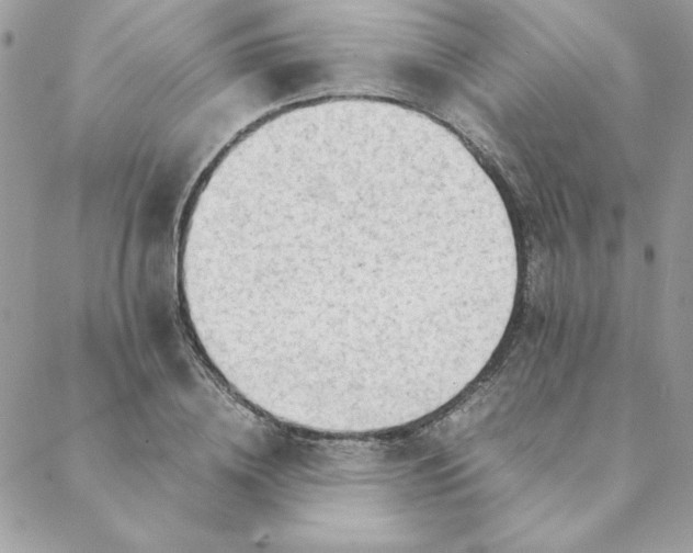 X0000088740836200706141701