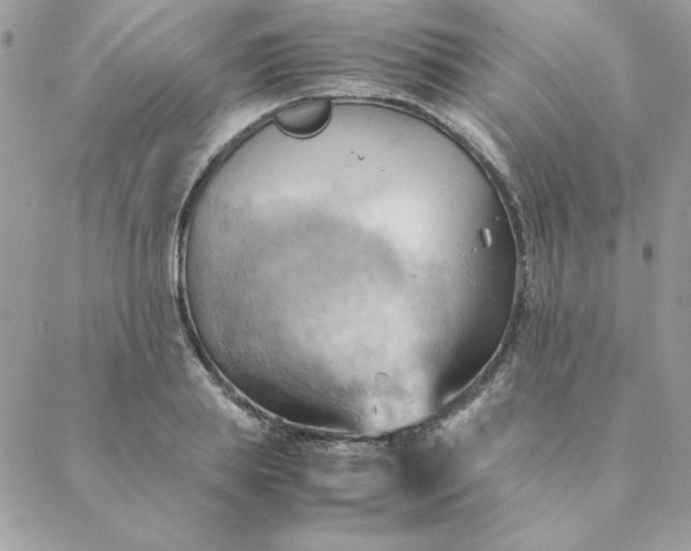 X0000088740839200706141701