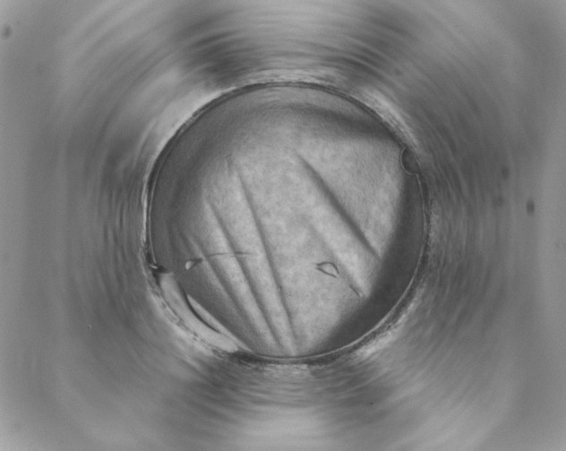 X0000088740844200706141701
