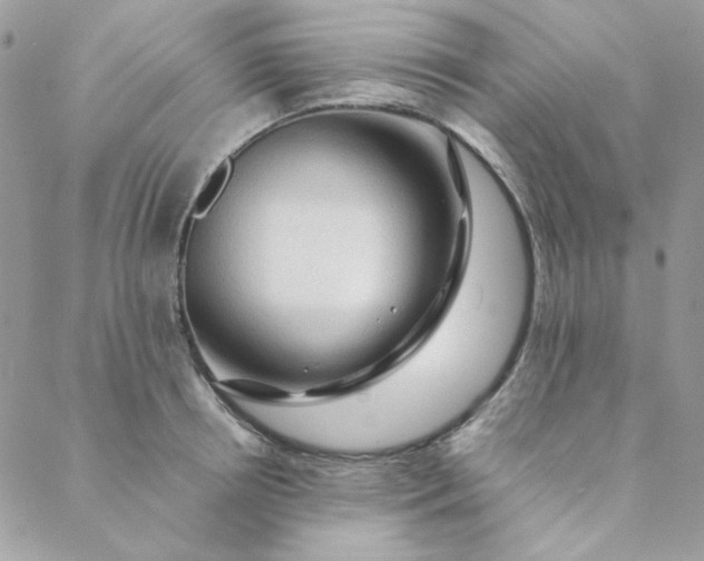 X0000088740850200706141701