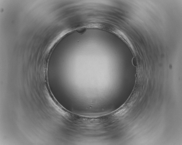 X0000088740851200706141701