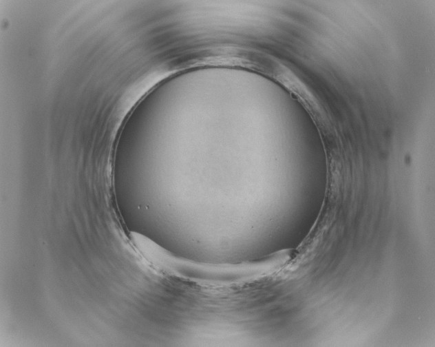 X0000088740852200706141701