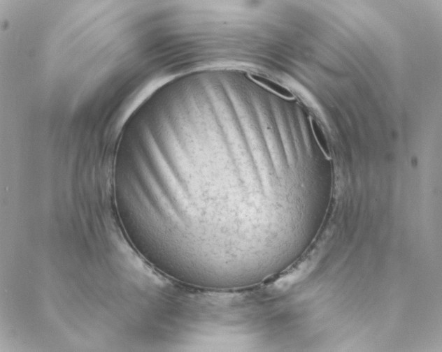 X0000088740860200706141701